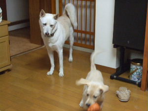 f0005081_15563223.jpg