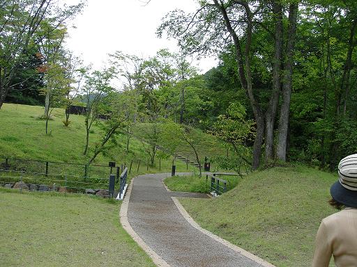 e0003382_214359.jpg
