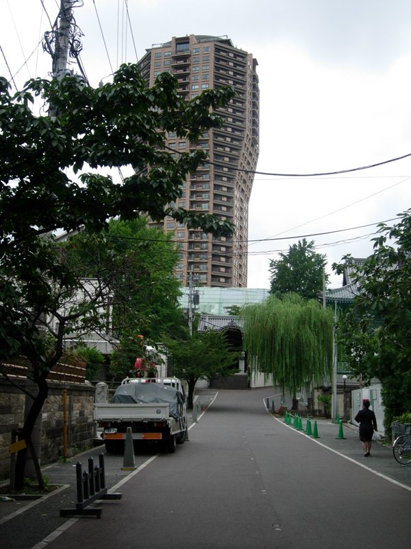 a0045688_1558.jpg