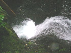c0018489_02569.jpg