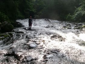 c0018489_23475552.jpg