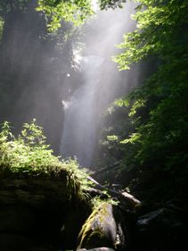 c0018489_23504998.jpg
