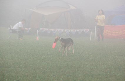 f0094391_23183851.jpg