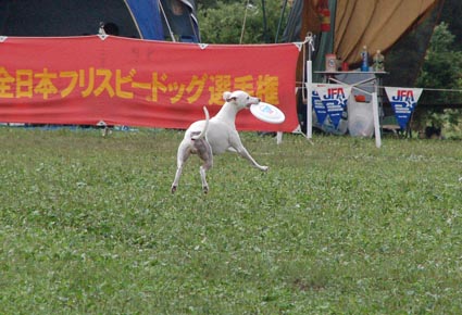 f0094391_23364886.jpg