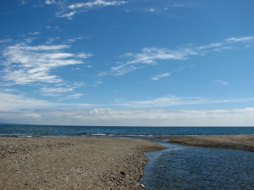 f0020302_20141715.jpg