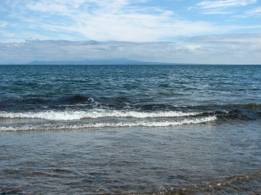 f0020302_2015820.jpg
