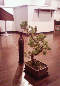c0037103_194010100.jpg
