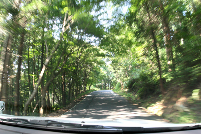 c0089005_2136498.jpg