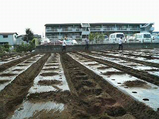 f0127408_22322563.jpg