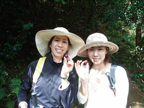 c0127909_15141751.jpg