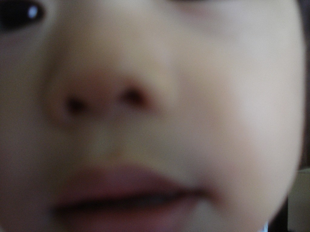 b0107311_1455587.jpg