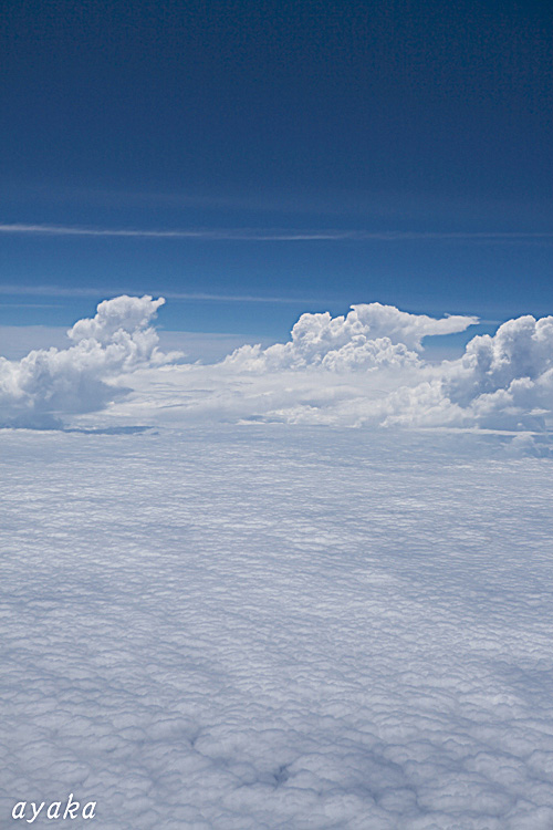 f0014815_15273014.jpg