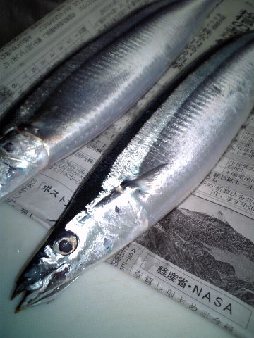 e0114823_2141657.jpg