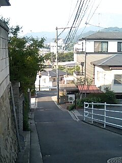 f0071840_2325824.jpg