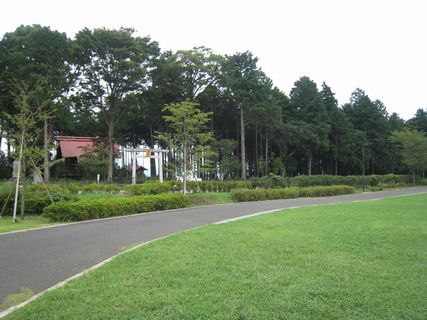 f0058241_1853796.jpg