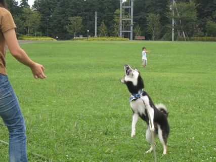 f0058241_1885983.jpg