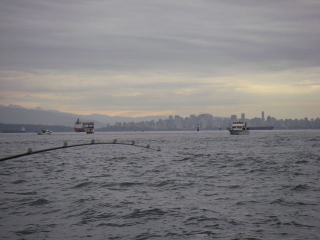 f0084544_1157270.jpg