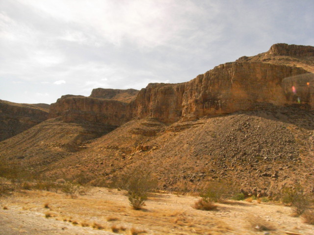 f0121044_21413850.jpg