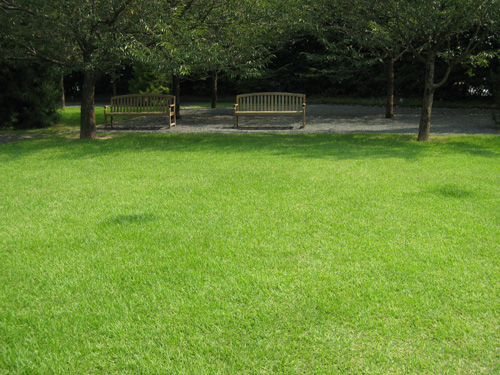 e0040345_924346.jpg