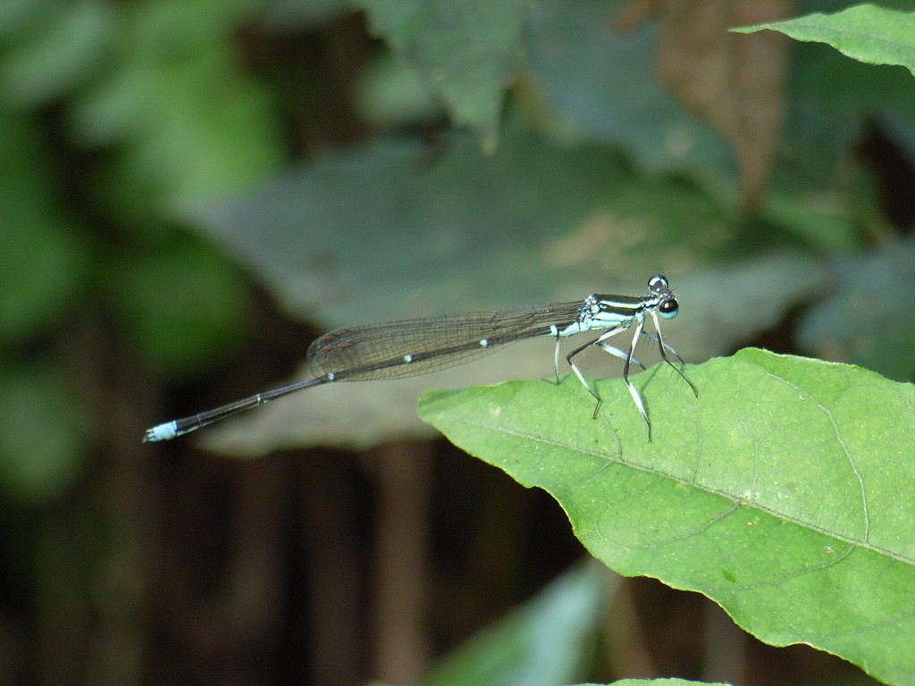b0029648_23135472.jpg