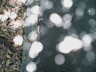 e0063653_1095978.jpg