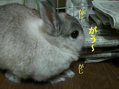 f0104057_20431542.jpg