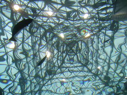 f0045660_233866.jpg