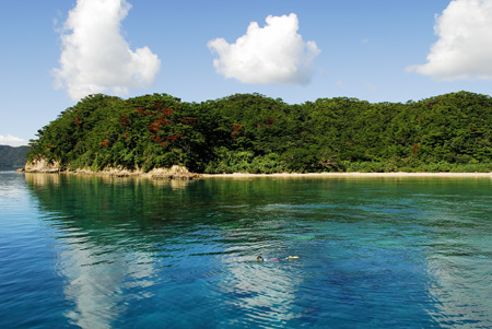 b0062363_2133461.jpg