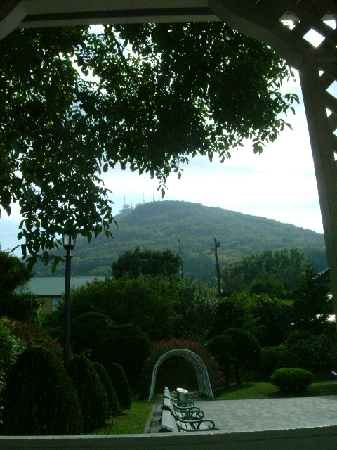 e0078071_2321563.jpg