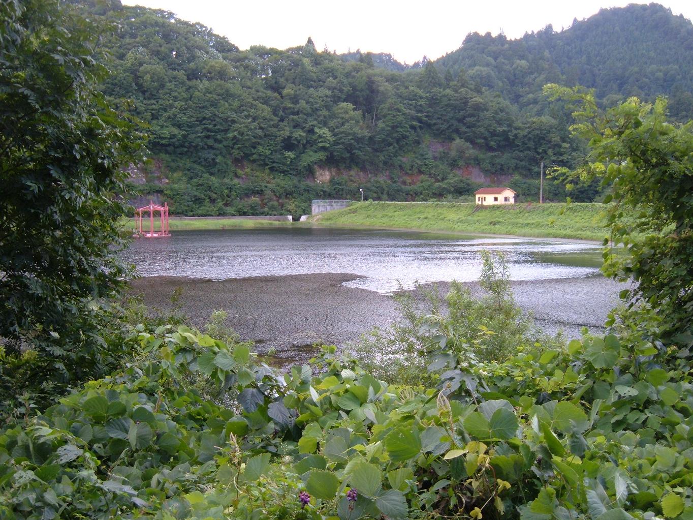 e0060778_22544963.jpg