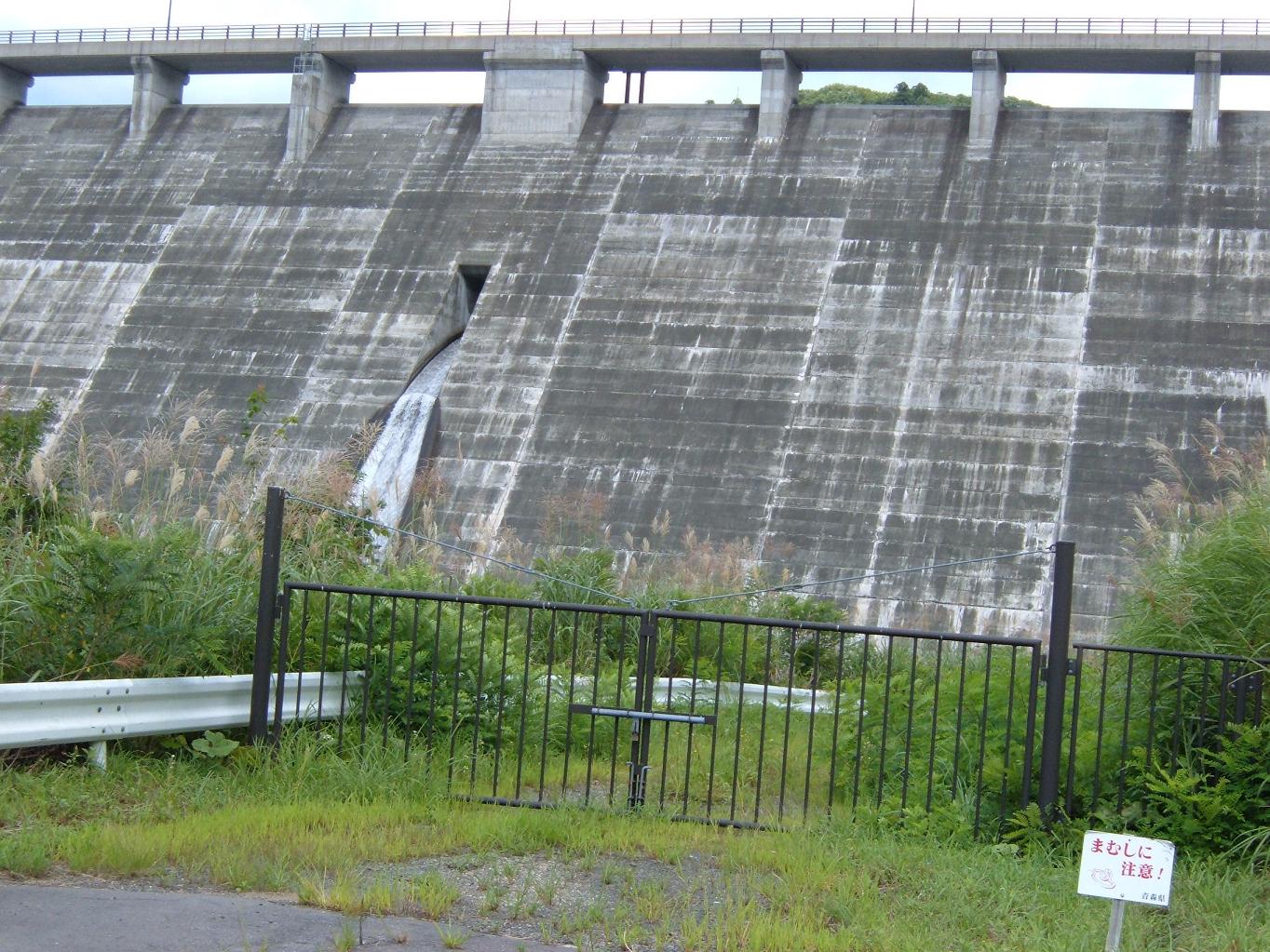 e0060778_22551649.jpg