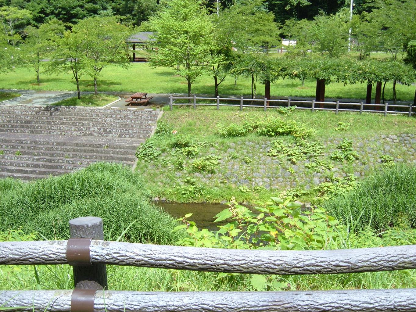 e0060778_22581654.jpg