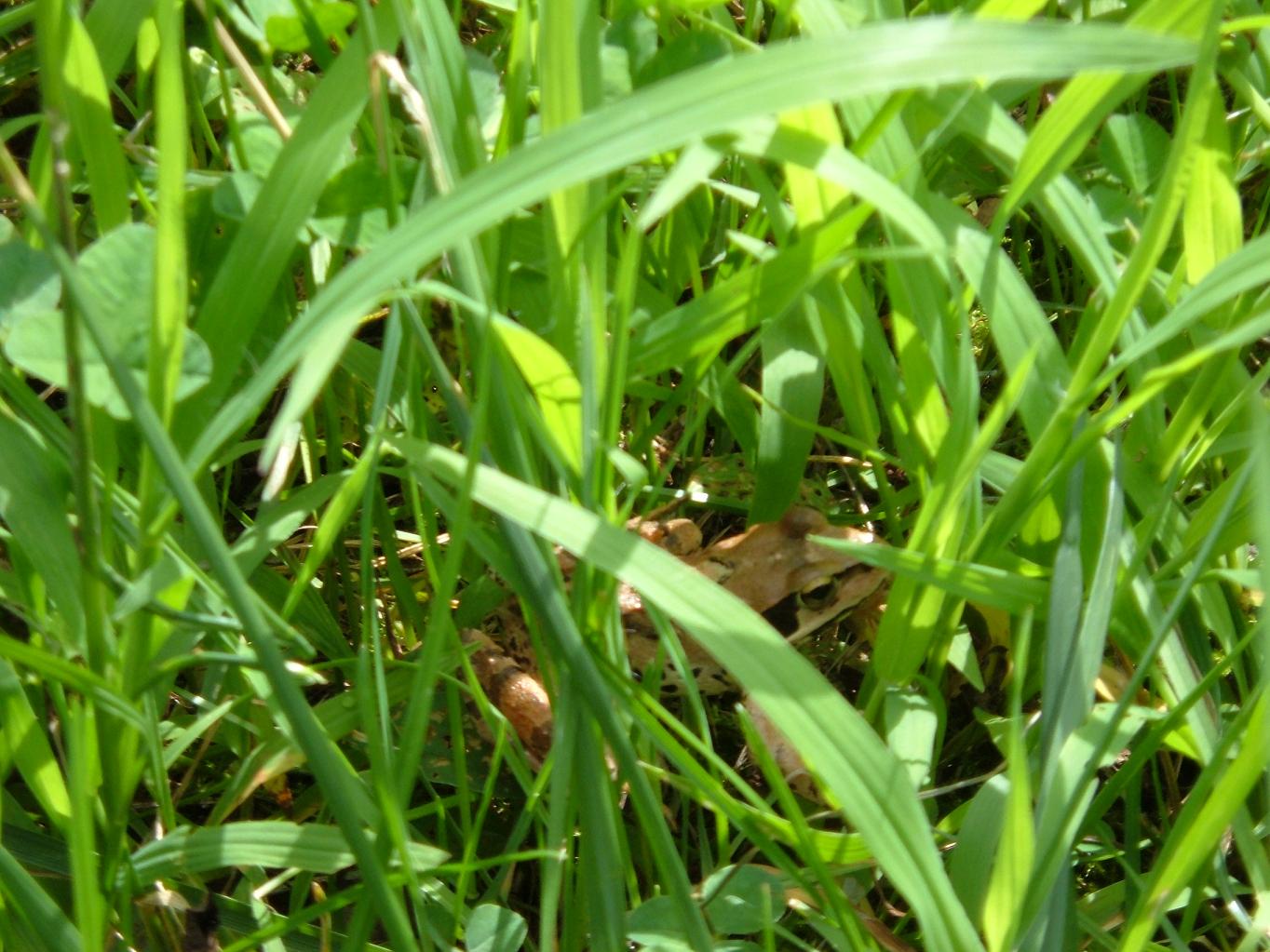 e0060778_2317493.jpg