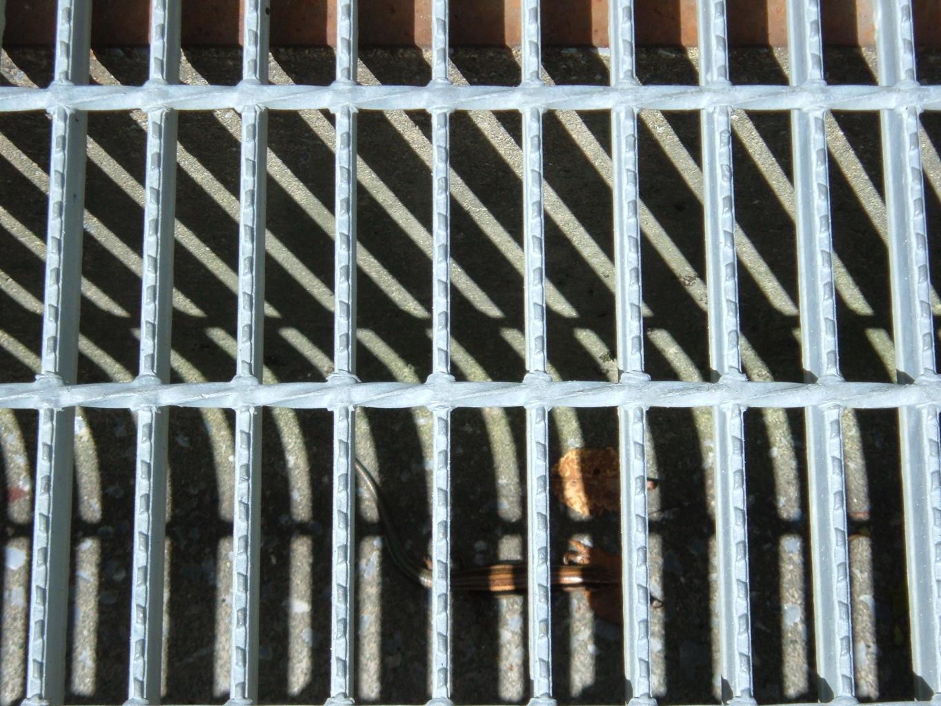 e0060778_2363361.jpg