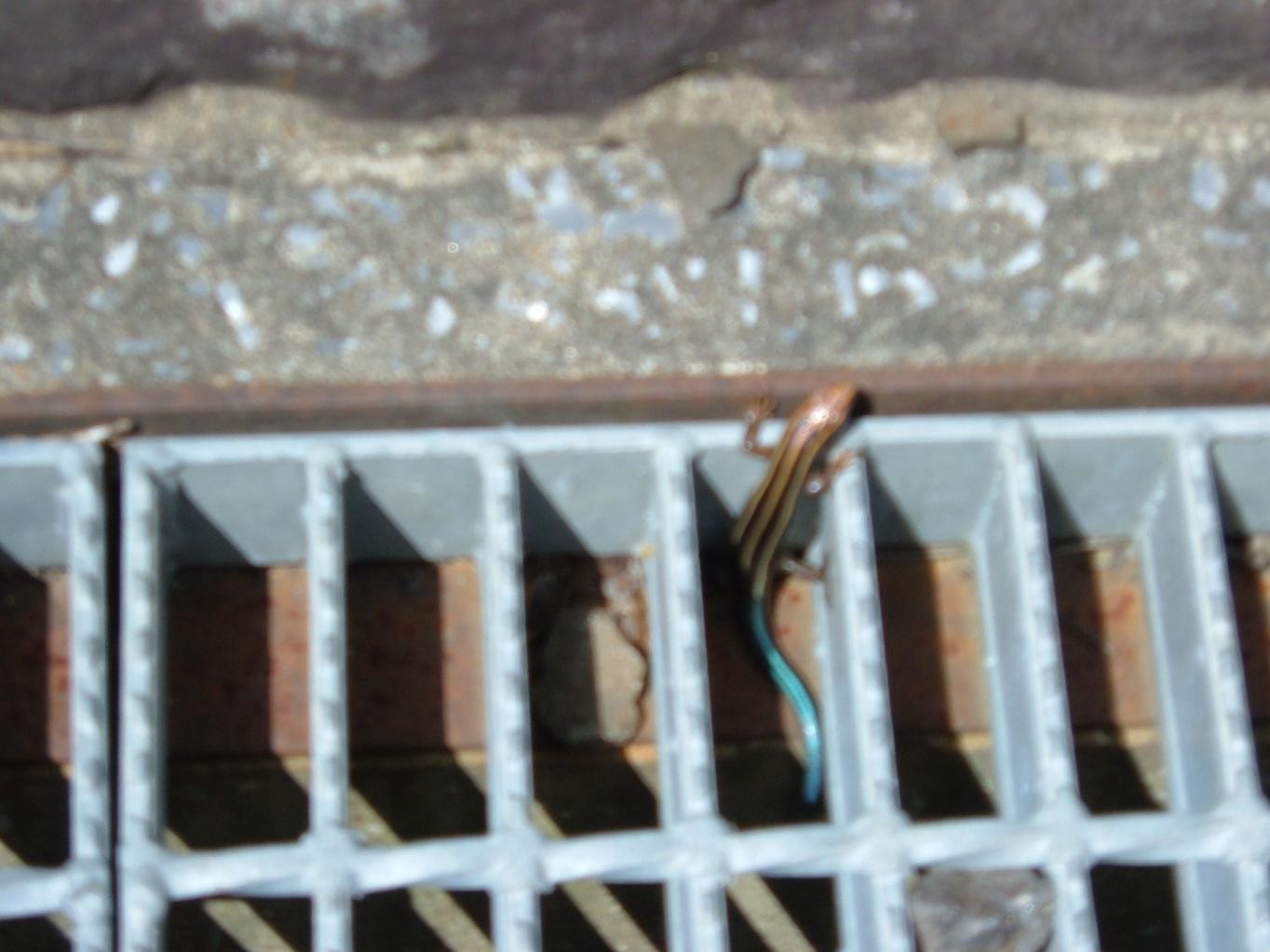 e0060778_2392652.jpg