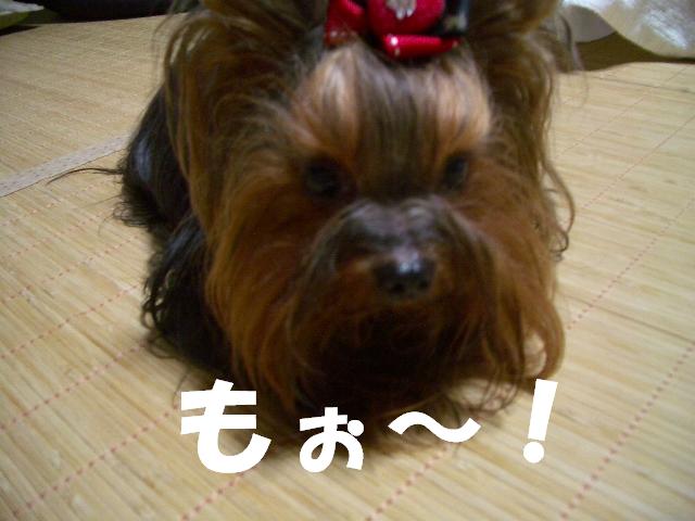 c0031582_22223441.jpg