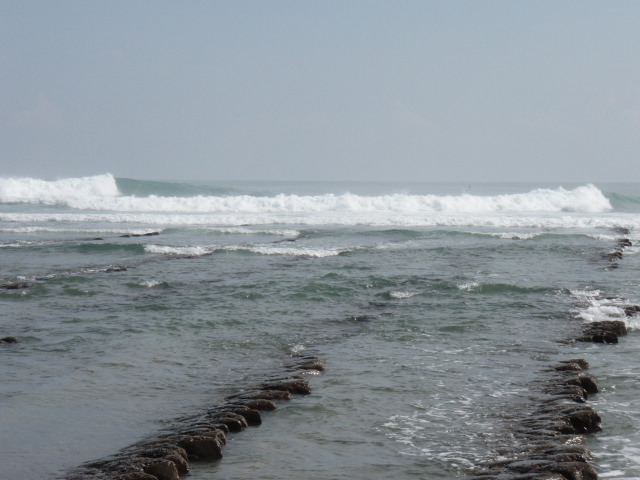 e0125483_21271493.jpg