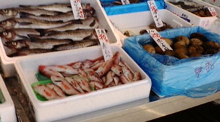 f0125585_12593381.jpg