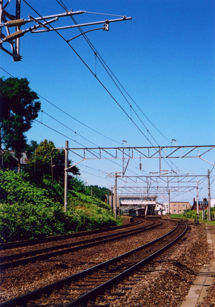 e0051186_20353662.jpg
