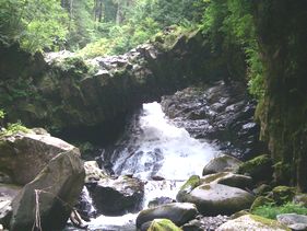 c0018489_015648.jpg