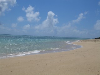 f0079890_16285815.jpg