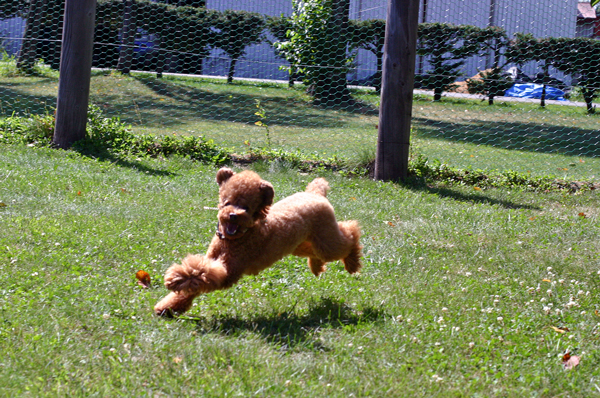 f0001895_20112419.jpg