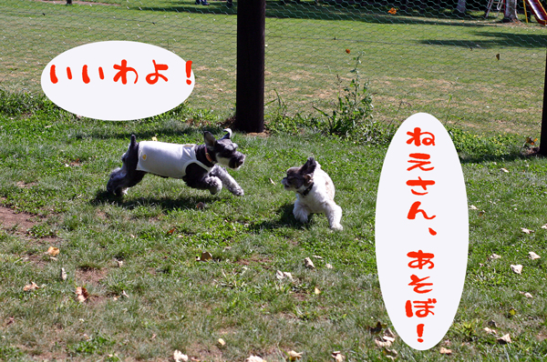 f0001895_20115230.jpg