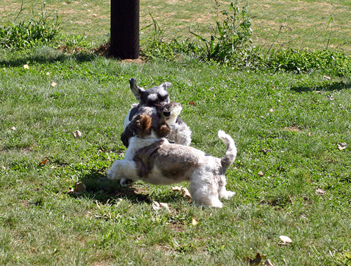 f0001895_20121638.jpg