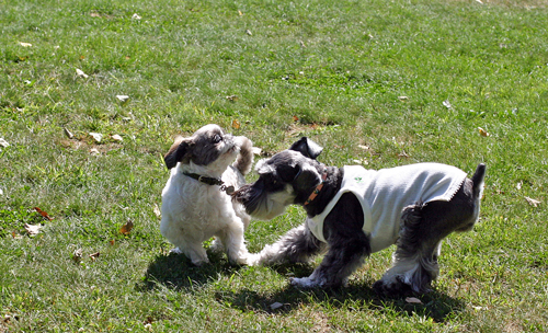 f0001895_20123778.jpg