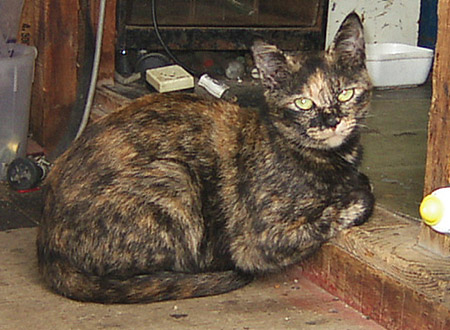f0093600_134023.jpg