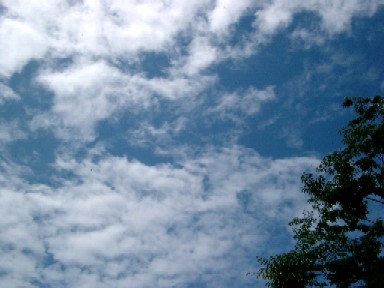 a0040103_19292852.jpg