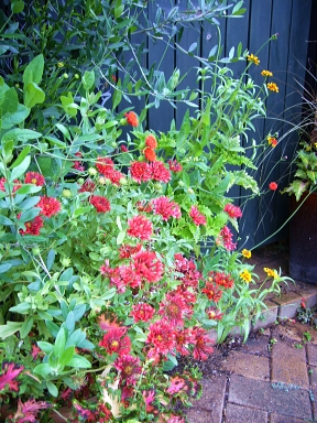 f0065604_2110036.jpg