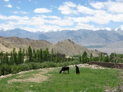 b0083405_2150372.jpg