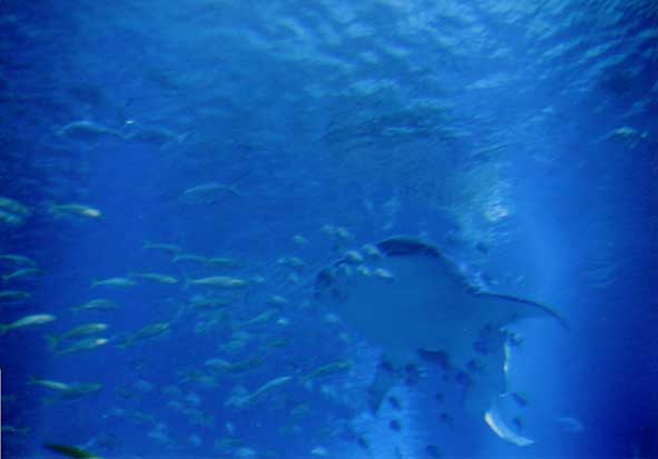 f0053506_23402735.jpg